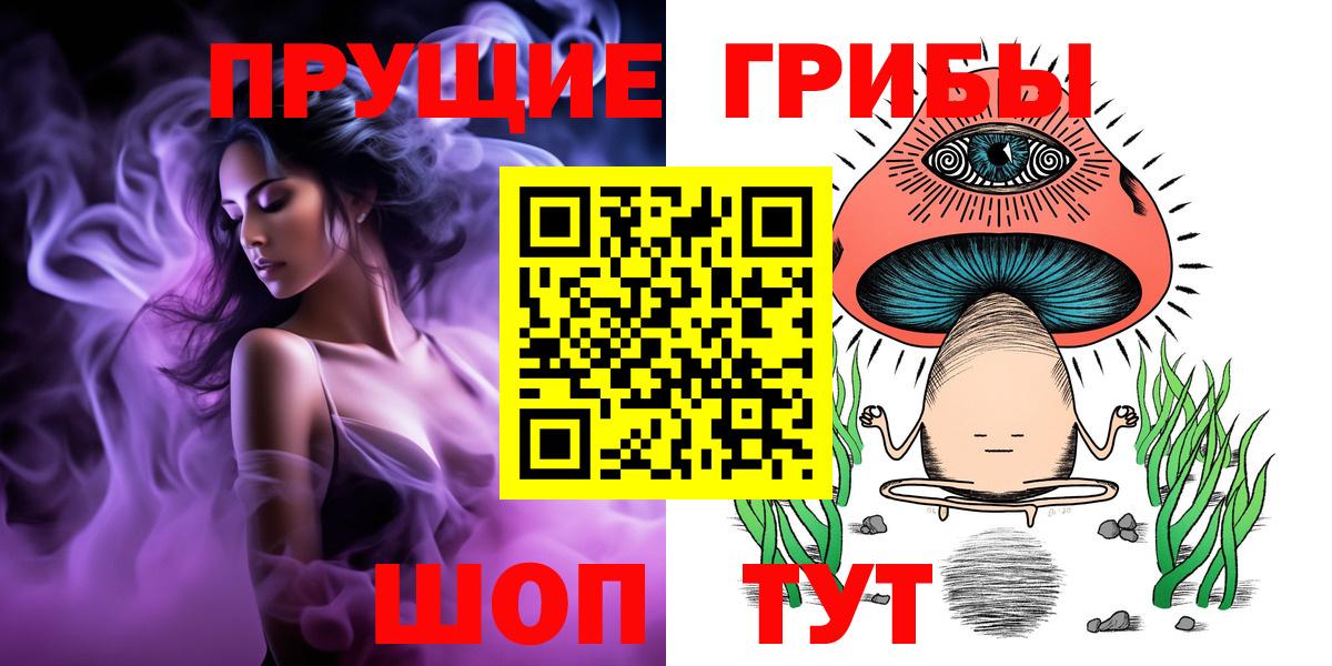 Галлюциногенные грибы MAGIC MUSHROOMS  Вход с VPN  Дубна 